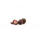premium Choco fruits Whole strawberries in dark chocolate