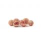 premium Choco fruits whole raspberries in white chocolate with cream