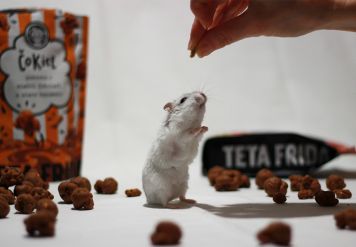 Winners of the AUNT FRIDA x HOFER Chocolate Giveaway have been announced