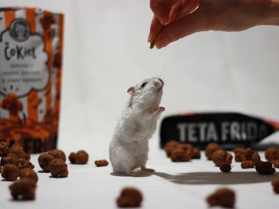 Winners of the AUNT FRIDA x HOFER Chocolate Giveaway have been announced