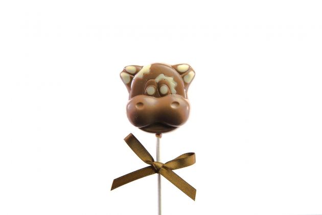Chocolate lollipop Hippo, milk